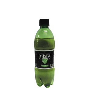 EVERVESS GINGER ALE X  500 ML