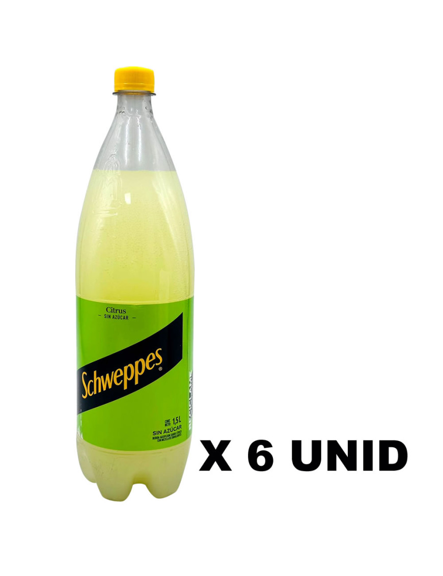 SCHWEPPES GINGER ALE X 1.5 ML X 6 UN.