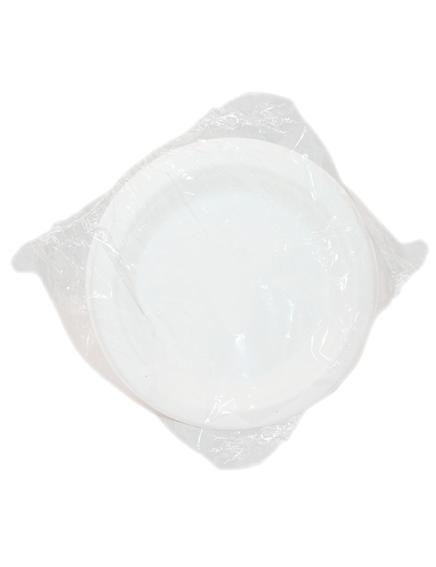 PLATOS BIO DEGRADABLE Nro 15  X 25 UN